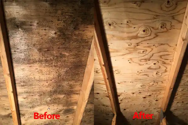 water damage restoration service Buzzards Bay